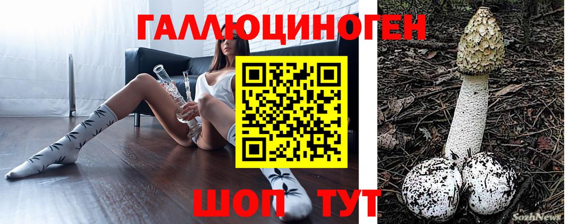 Псилоцибиновые грибы ЛСД  купить наркотики сайты  Вход с VPN  Алексеевка  Галлюциногенные грибы Cubensis 