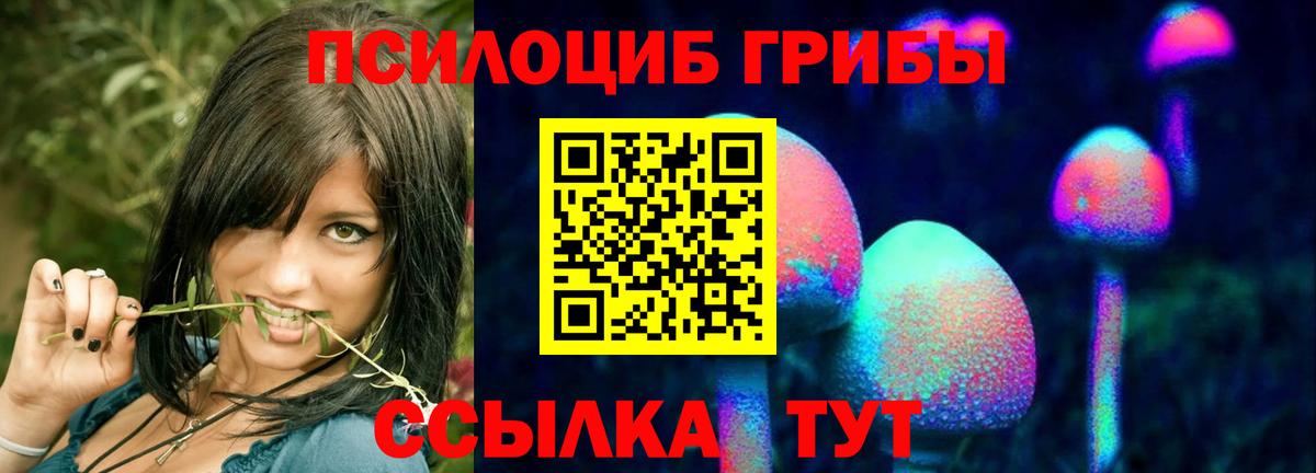Псилоцибиновые грибы GOLDEN TEACHER Алексеевка